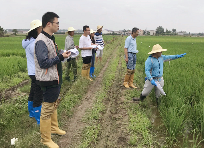 6t������������������Ʒӭ���������ִ�